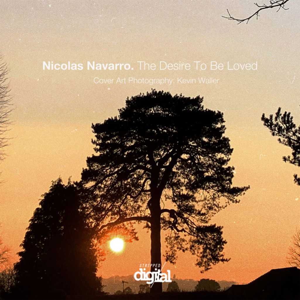 Nicolas Navarro - The Desire To Be Loved [317SD]